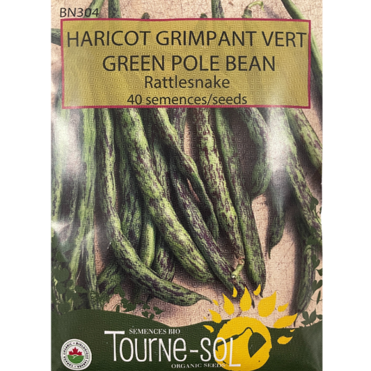 Tourne-Sol Bean Green Rattlesnake Pole Pkg.