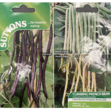 Suttons Seeds Climbing French Bean Colourful Mix