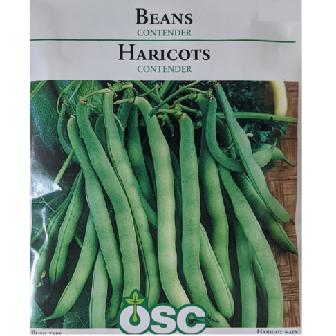 OSC Seeds Beans Contender Large Pkg