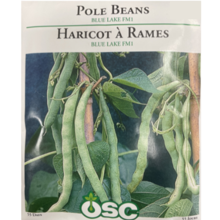 OSC Seeds Beans Pole Blue Lake FM1