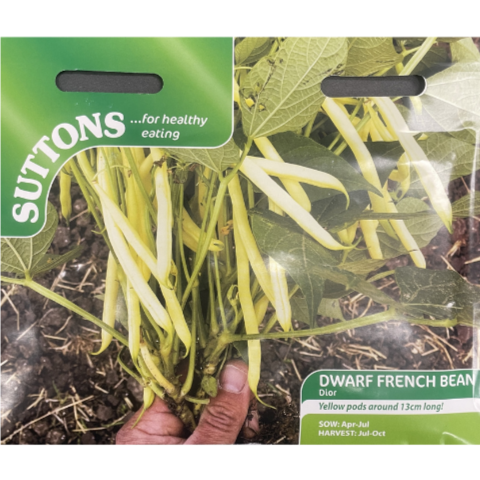 Suttons Seed Dwarf French Bean Dior