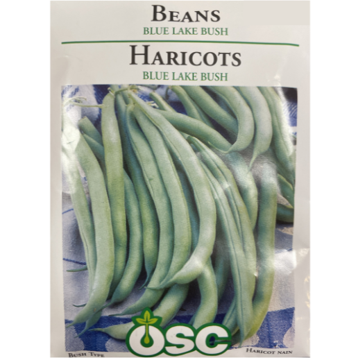 OSC Seeds Beans Blue Lake Bush