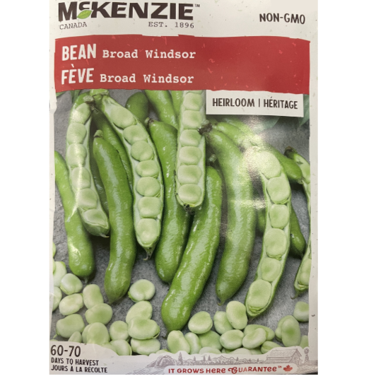 McKenzie Seed Bean Broad Windsor Pkg