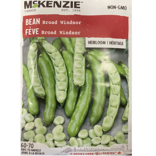 McKenzie Seed Bean Broad Windsor Pkg.