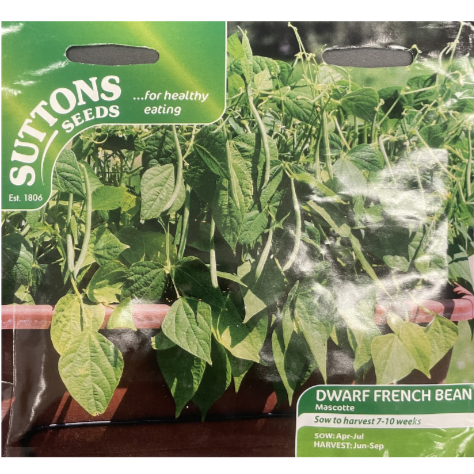 Suttons Seed Dwarf French Bean Mascotte