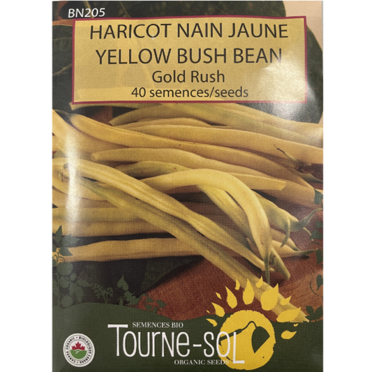 Tourne-Sol Bean Bush Yellow Gold Rush Pkg