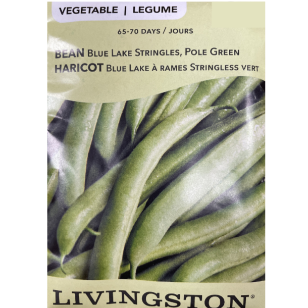 Livingston Seeds Bean Blue Lake Pole Stringless Pkg
