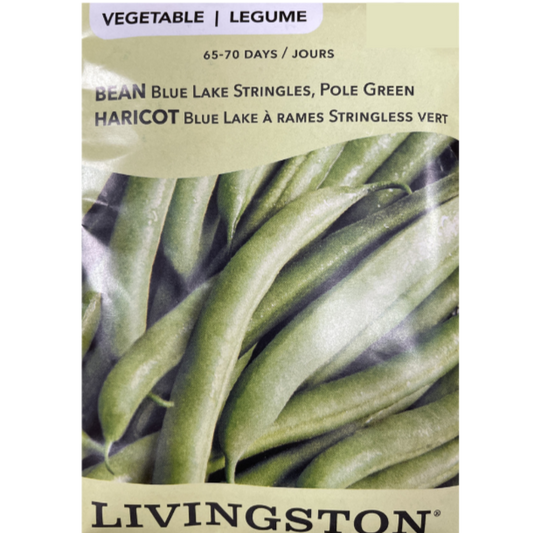 Livingston Seeds Bean Blue Lake Pole Stringless Pkg