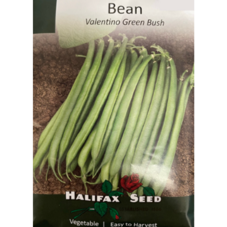 Halifax Seed Bean Valentino Green Bush