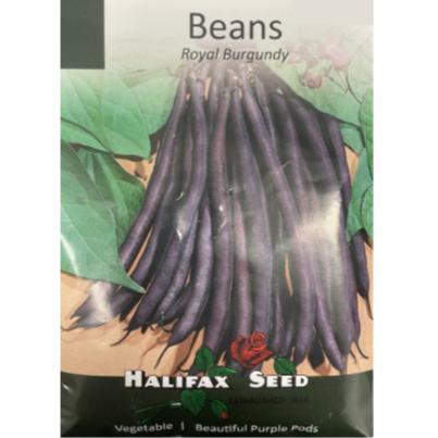 Halifax Seed Beans Royal Burgundy
