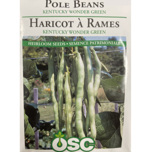 OSC Seeds Pole Beans Kentucky Wonder Green