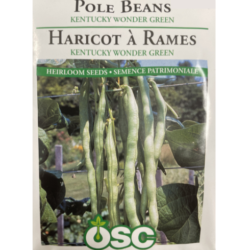 OSC Seeds Beans Pole Kentucky Wonder Green