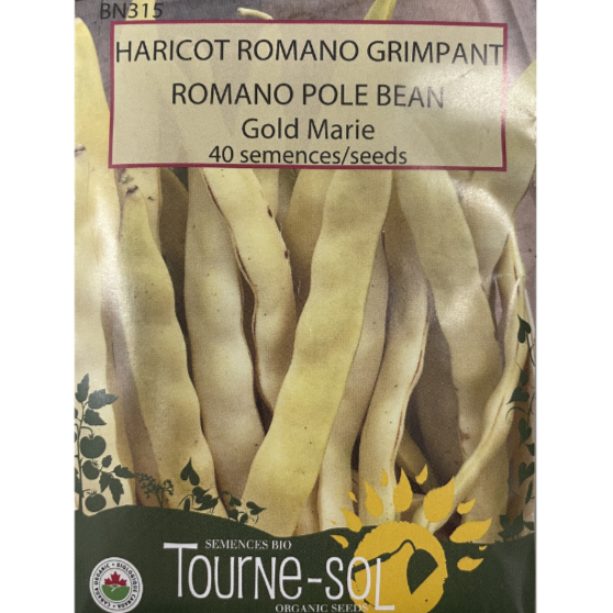 Tourne-Sol Bean Romano Gold Marie Pole Pkg.