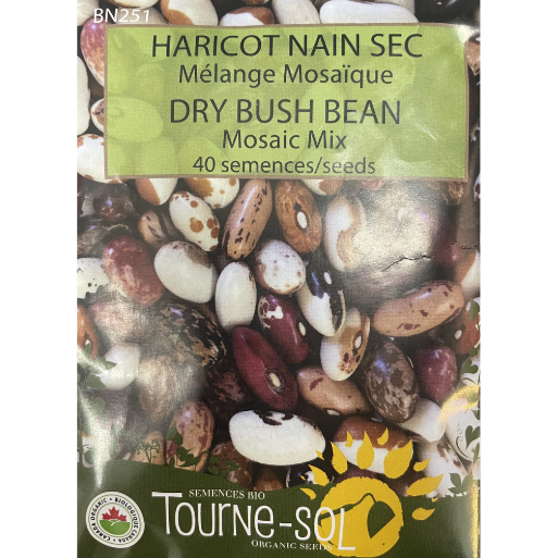 Tourne-Sol Bean Dry Bush Mosaic Mix Pkg
