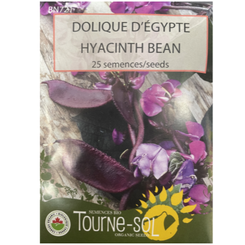 Tourne-Sol Bean Hyacinth Bean Pkg