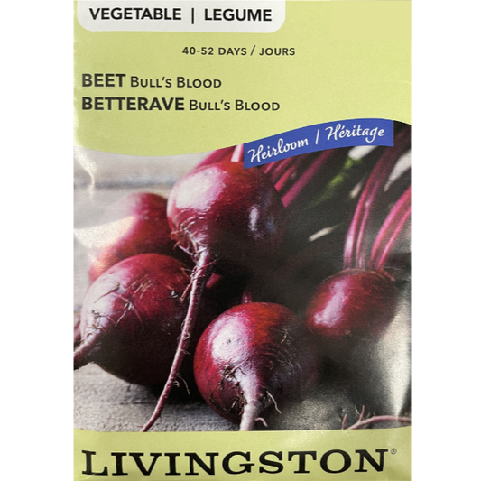 Livingston Seeds Beet Bull's Blood Pkg
