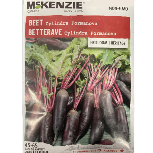 McKenzie Seed Beet Cylindra Formanova Pkg