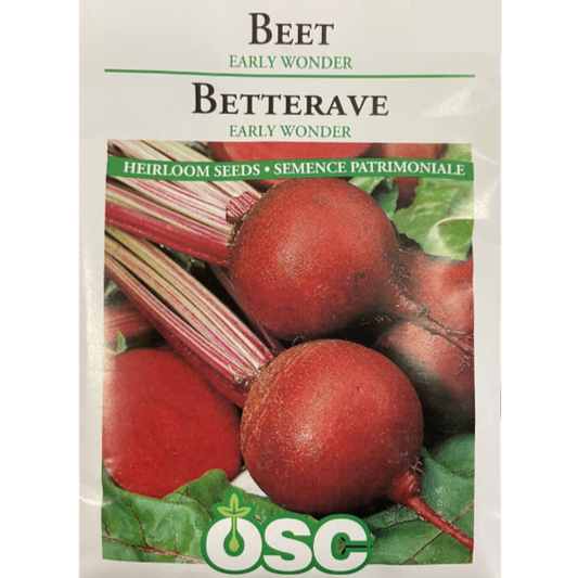 OSC Seeds Beet Early Wonder Pkg.