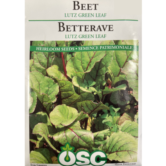 OSC Seeds Beet Lutz Green Leaf Pkg