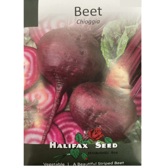 Halifax Seed Beet Chioggia