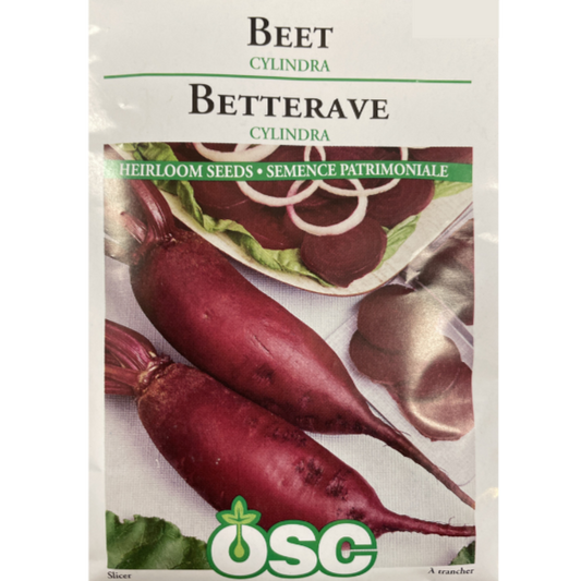 OSC Seeds Beet Cylindra Pkg.