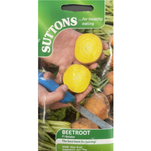 Suttons Seed Beetroot F1 Boldor