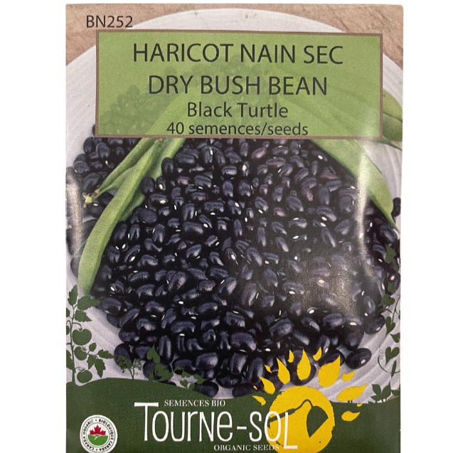 Tourne-Sol Bean Dry Bush Black Turtle Pkg.