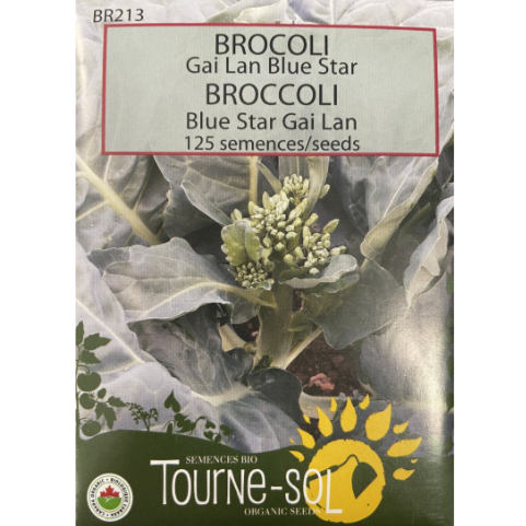 Tourne-Sol Broccoli Blue Star Gai Lan
