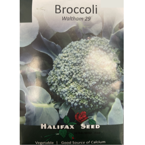 Halifax Seed Broccoli Waltham 29 Pkg.