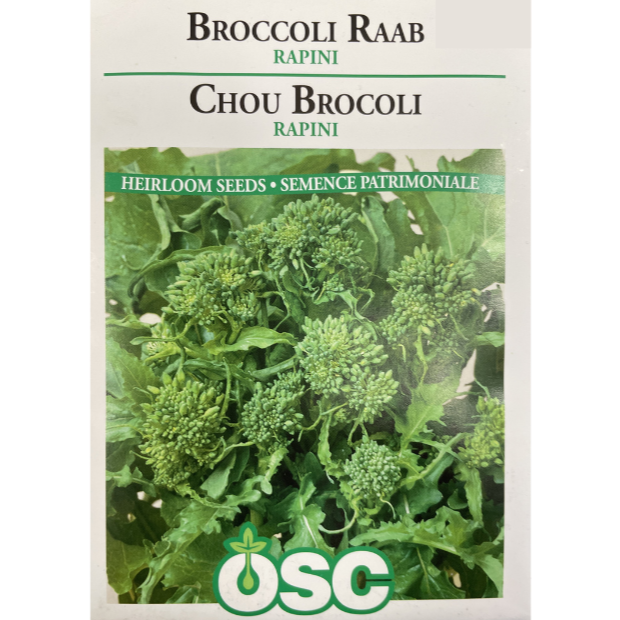 OSC Seeds Broccoli Raab Rapini Pkg