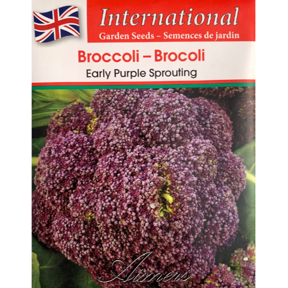 Aimers International Broccoli Early Purple Sprouting