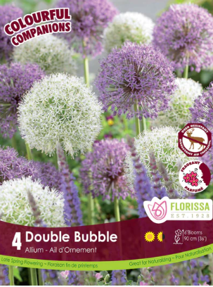 Allium Colourful Companions Double Bubble Bulbs 4/pkg