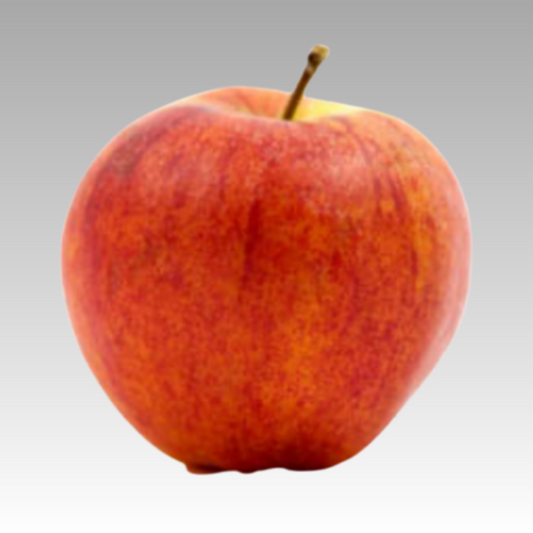 Apple Buckeye Gala 3gal