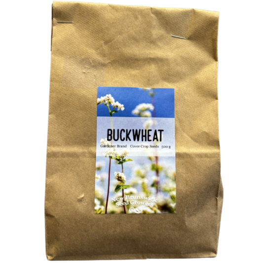Homesteader Buckwheat Seed 500g