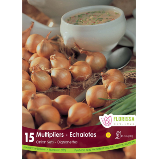 Bulbs Onion Multiplier 15/Pkg.