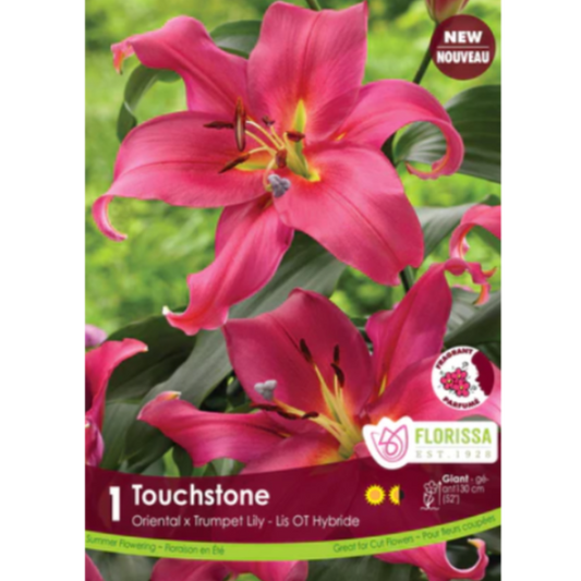 Bulbs Lily Oriental Trumpet Hybrid Touchstone 1/Pkg.
