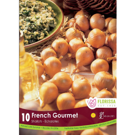 Onion Shallot French Gourmet 10/pkg