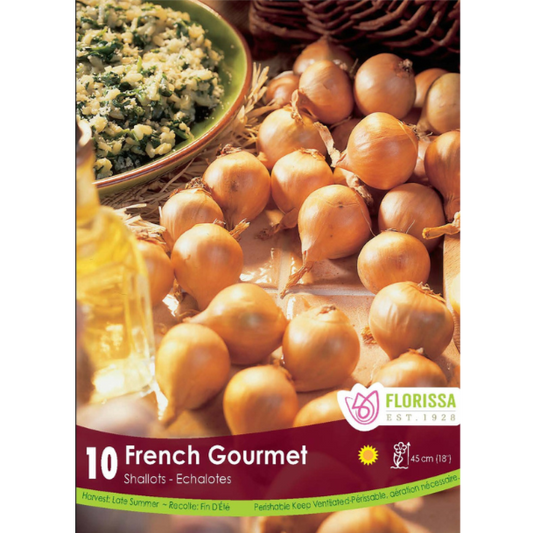 Bulbs Onion Shallot French Gourmet 10/Pkg.