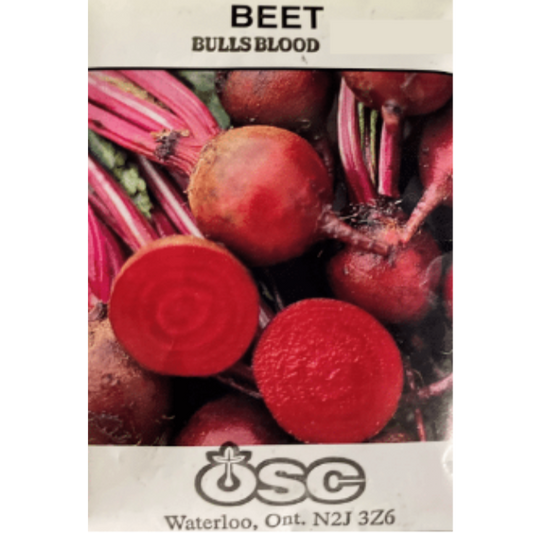 OSC Seeds Beet Bull's Blood Pkg