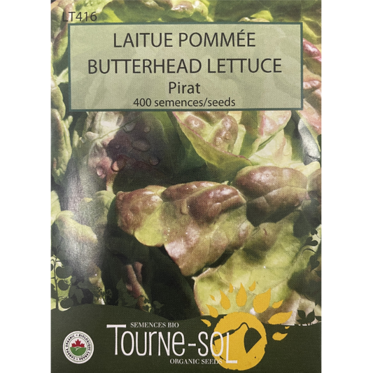 Tourne-Sol Lettuce Pirat Butterhead Pkg