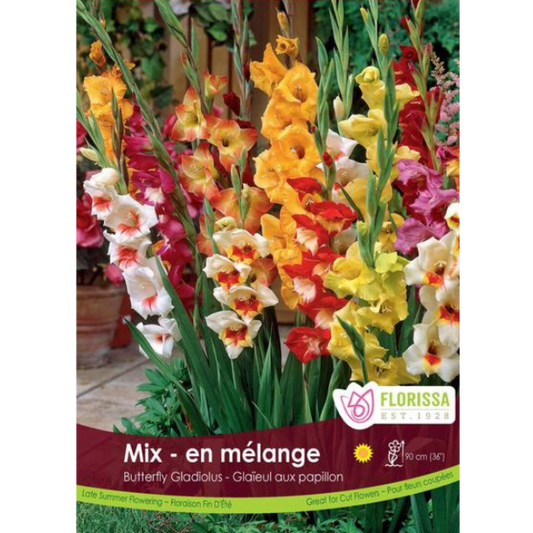 Bulbs Gladiolus Butterfly Mix 5/Pkg.