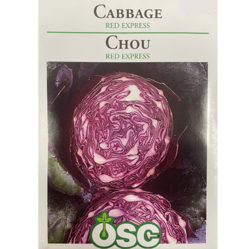 OSC Seeds Cabbage Red Express Pkg