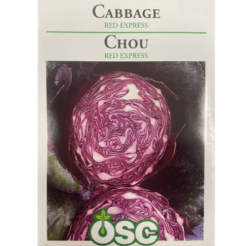 OSC Seeds Cabbage Red Express Pkg.