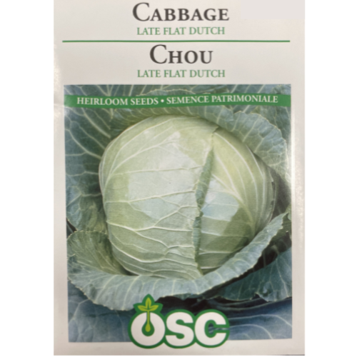 OSC Seeds Cabbage Late Flat Dutch Pkg