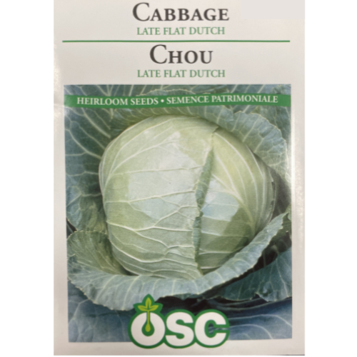 OSC Seeds Cabbage Late Flat Dutch Pkg.