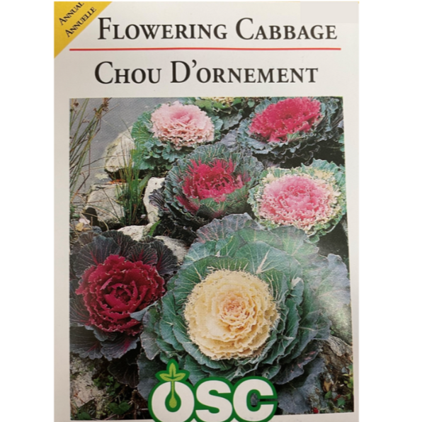 OSC Seeds Flowering Cabbage Pkg