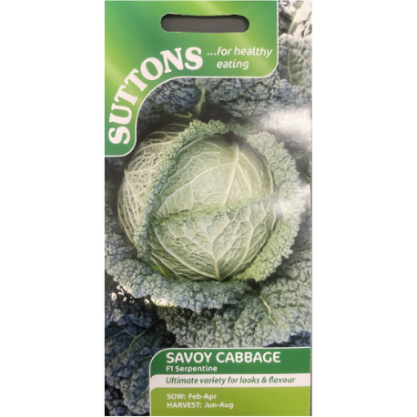 Suttons Seed Cabbage Savoy F1 Serpentine