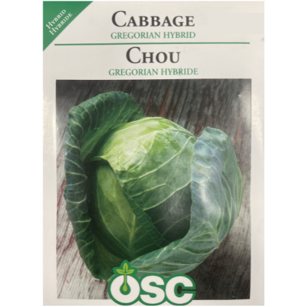 OSC Seeds Cabbage Gregorian Hybrid