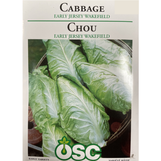 OSC Seeds Cabbage Jersey Wakefield Early Pkg.