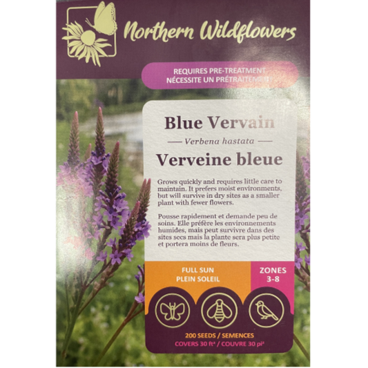 Northern Wildflowers Blue Vervain Pkg